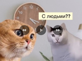 Кто со мной? 🙈🤣🤪