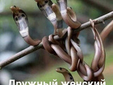 Где только не работала