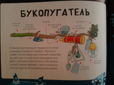 Испуг