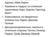 Как назвать собаку?
