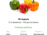 18 недель .