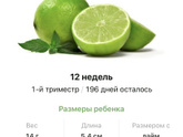 12 недель .