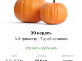 39 недель .