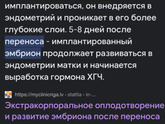 Эко первая попытка