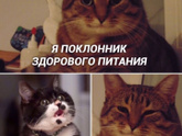 Фотография 2021-03-31 07:41:48