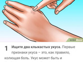 Девочки sos Пришли