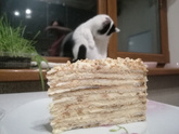 Торт