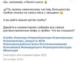 Шампиньоны детям.