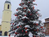 Городская елка