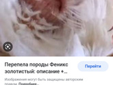 Корсет утягивающий
