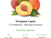 1️⃣3️⃣ недель ?.