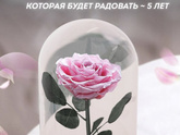 День рождения цветы, помогли с выбором