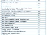 Сколько у вас в