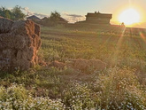 В деревне. Красивая локация и фото🤍