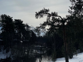 История родов часть 2