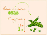 8️⃣ недель ??.