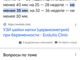 Шейка матки