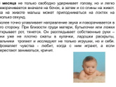 Ребенок не любит лежать на животе в 4 месяца - нужно как-то настаивать?
