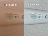 У кого clearblue plus