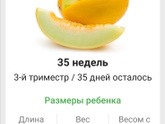Сегодня 35 недель, ещё