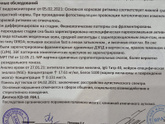 Давно не писала сюда.