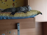 Хочуууу....)))