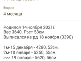 Сколько весят ваши дети в 3-4 месяца?