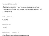 Лесовосстановительные работы