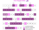 Последняя неделя просто ад..
