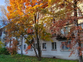 Петербург прекрасен