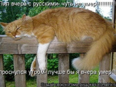 Лучше бы ...