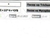 Уреаплазма.