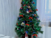 🌲