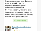 Шишка хориона. Вот что у меня