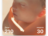 Ура! 🎉 30 недель!