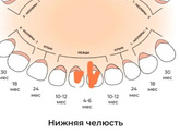 Человек