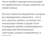 Норма или нет?