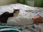 1 месяц или 38-39