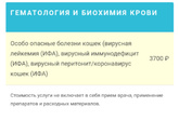 Отвезла кота в ветеринарку.
