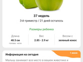 Вот и конец 36