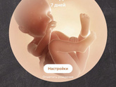 Как же быстро пролетела