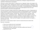 Плоский эпителий в моче