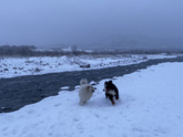 ❄️