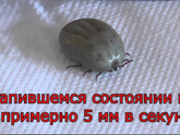 К теме о детской