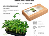 Микрозелень