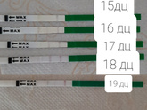 Всем приветик.