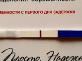 тестомания в динамике）