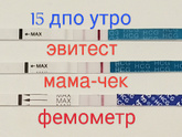 5 день задержки почему