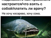 Вот как так?