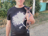 Ваш песик :)